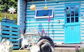 Treguth Glamping Unique Experience - Themed Huts