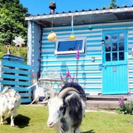 Hotel Treguth Glamping Unique Experience - Themed Huts à Saint Day Extérieur photo