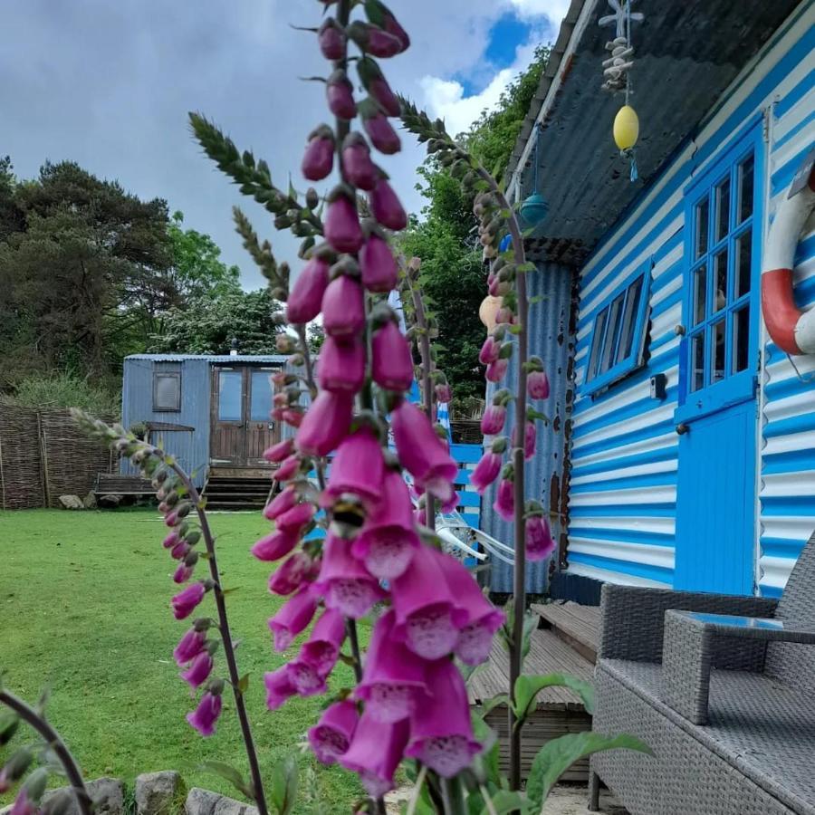 Hotel Treguth Glamping Unique Experience - Themed Huts à Saint Day Extérieur photo