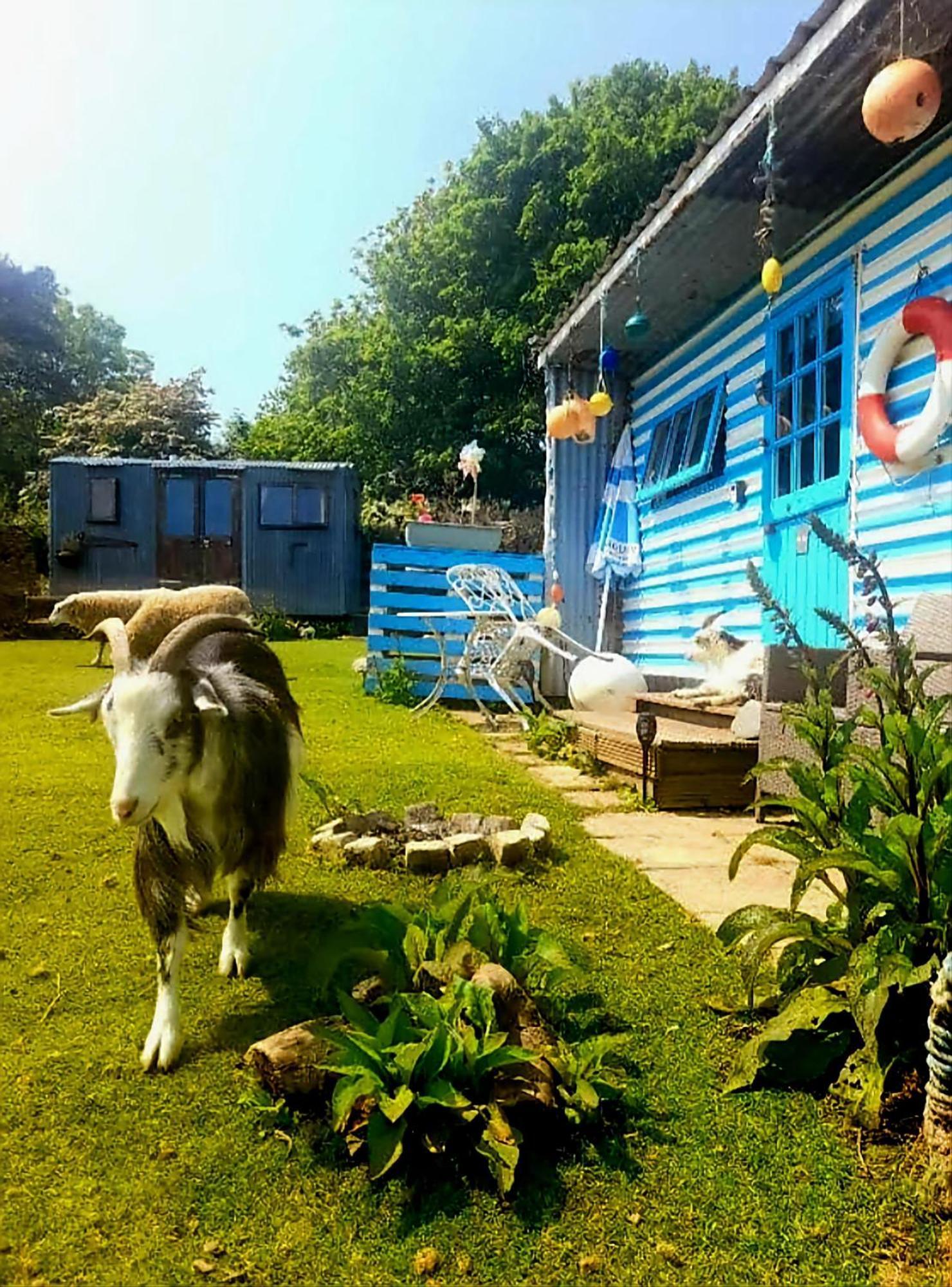 Hotel Treguth Glamping Unique Experience - Themed Huts à Saint Day Extérieur photo