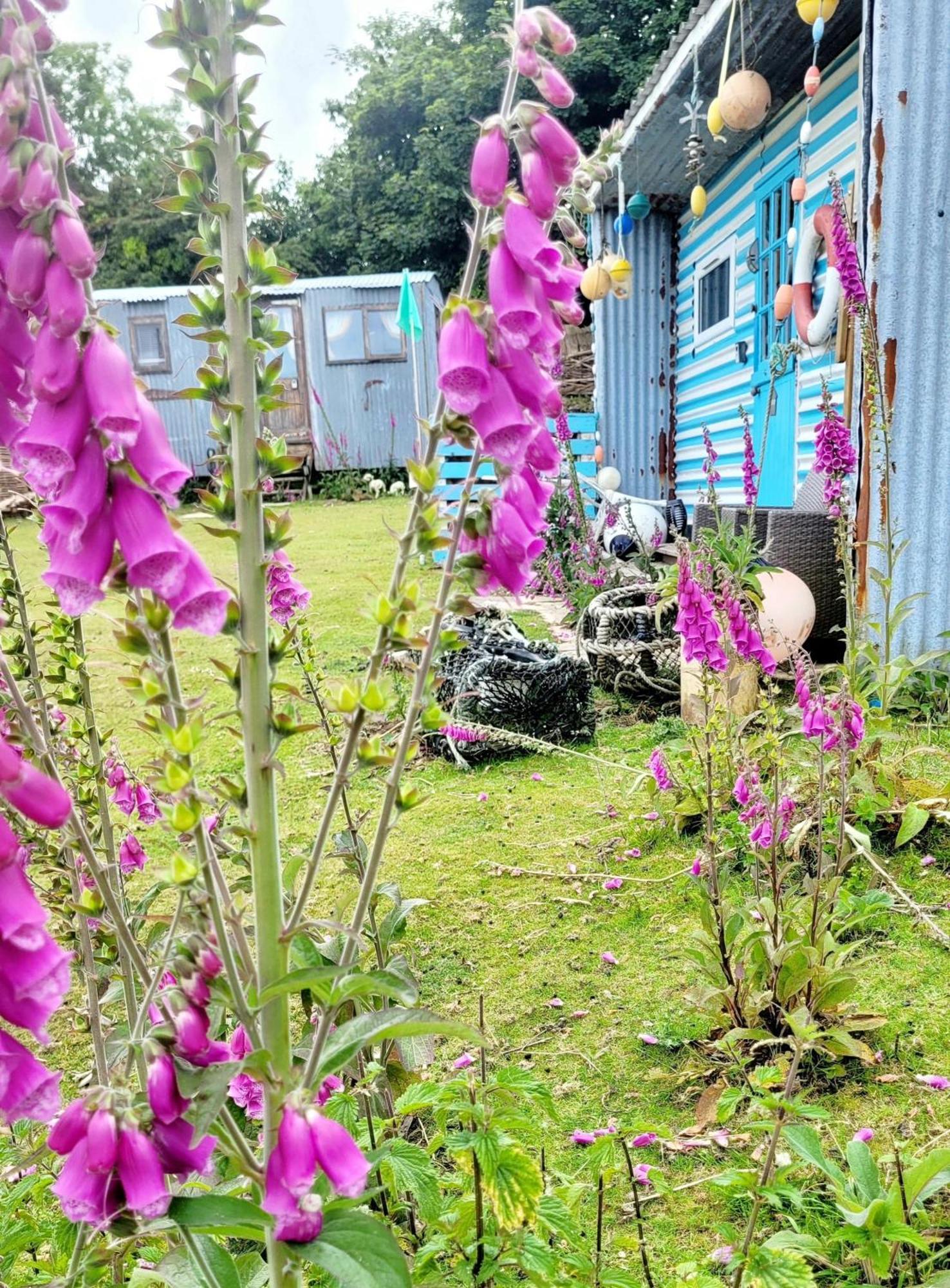 Hotel Treguth Glamping Unique Experience - Themed Huts à Saint Day Extérieur photo