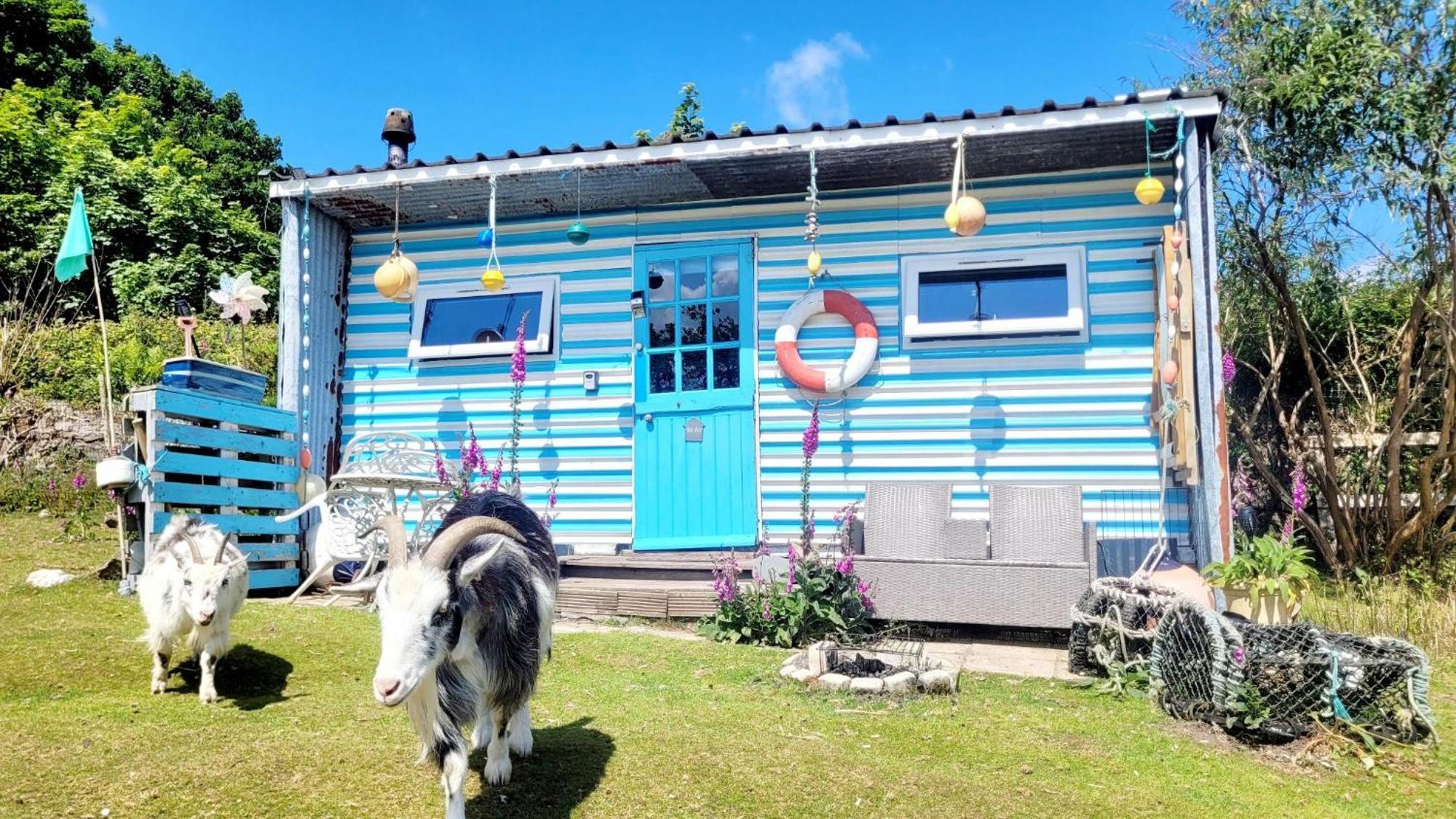 Hotel Treguth Glamping Unique Experience - Themed Huts à Saint Day Extérieur photo