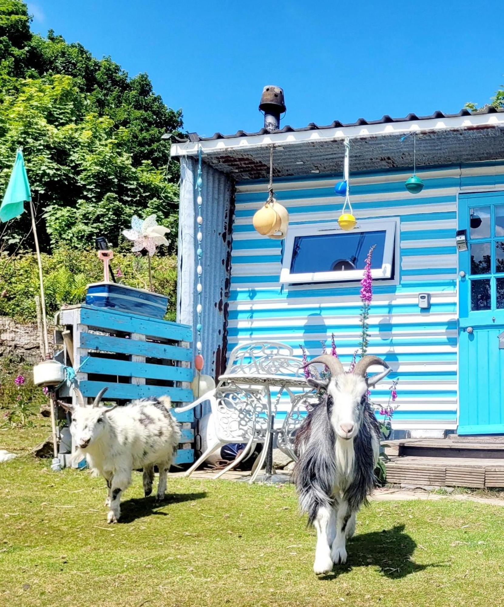 Hotel Treguth Glamping Unique Experience - Themed Huts à Saint Day Extérieur photo