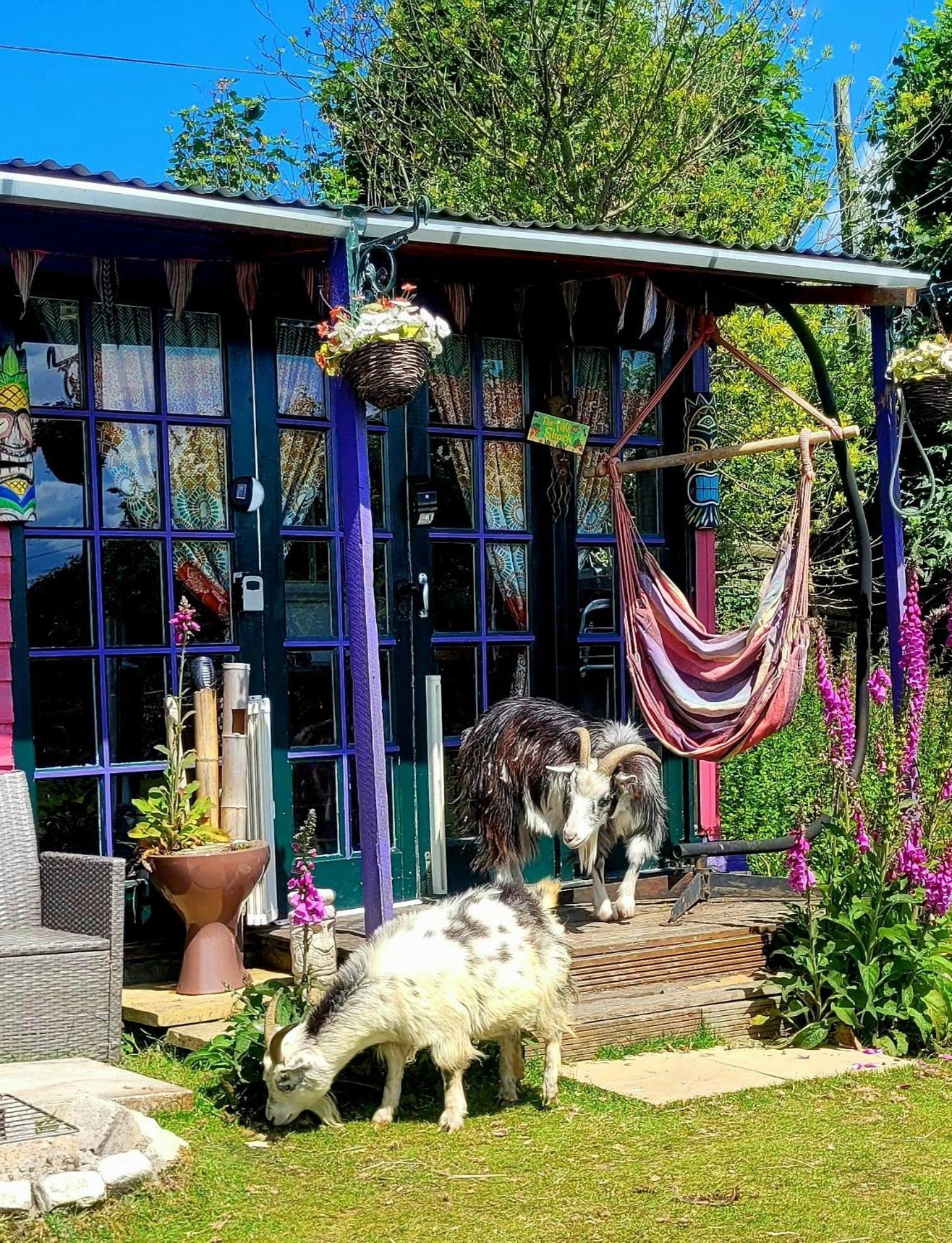 Hotel Treguth Glamping Unique Experience - Themed Huts à Saint Day Extérieur photo